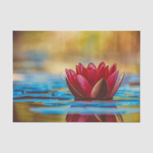 Seda Papel de Tecido Flutuante de Lotus Vermelha