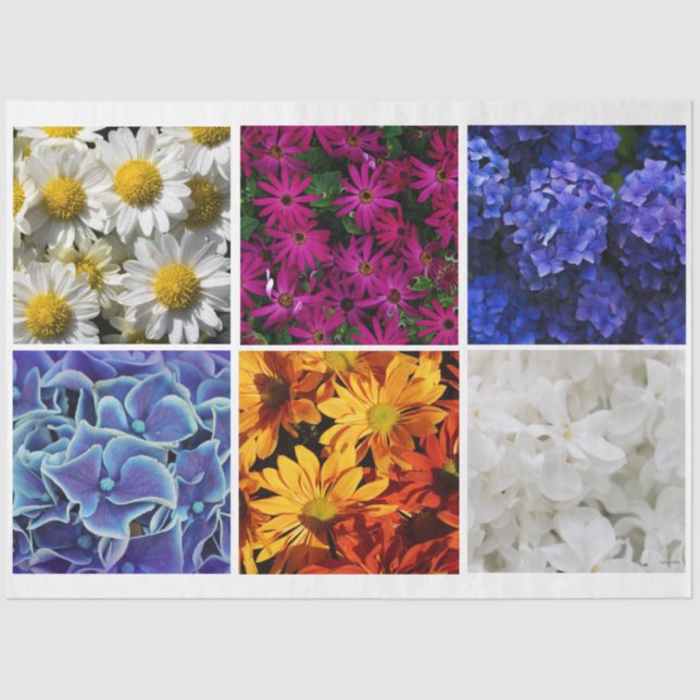 Seda Papel de Tecido Fotográfico HAMbyWG (Frente )