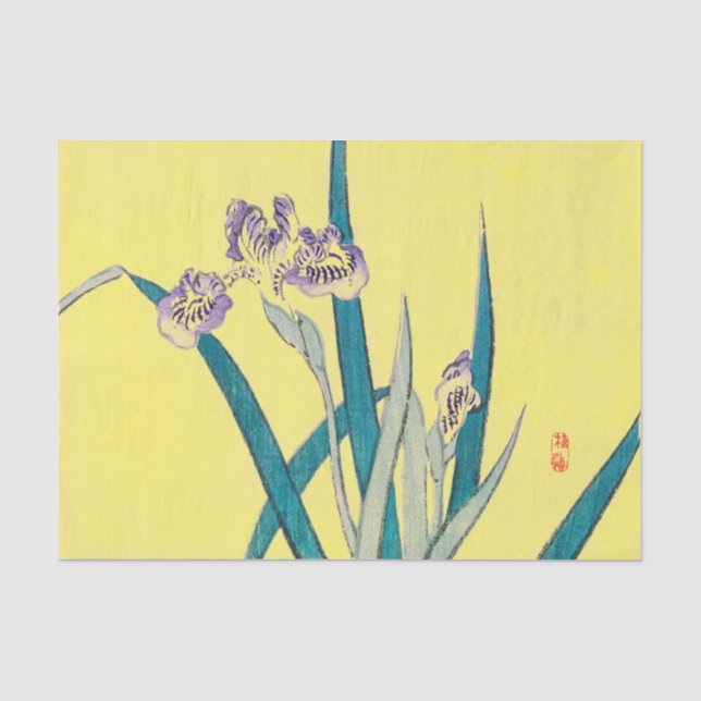 Seda Papel de Tecido IRIS (Frente )