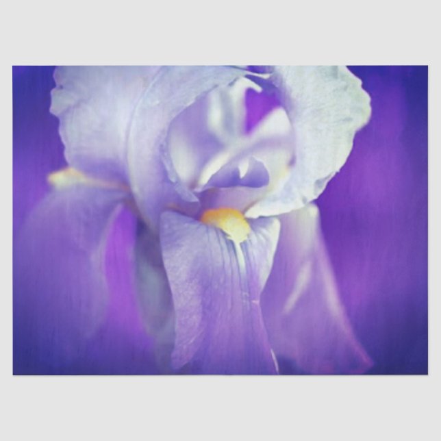 Seda Papel de Tecido Iris Azul Presente (Frente )