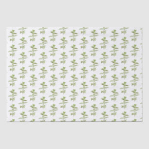 Seda Papel de Tecido OREGANO FRESCO