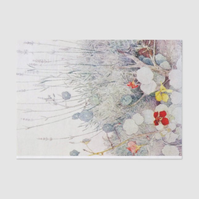 Seda Papel de Tecido para Nasturtios Selvagens de Cor Ú (Frente )