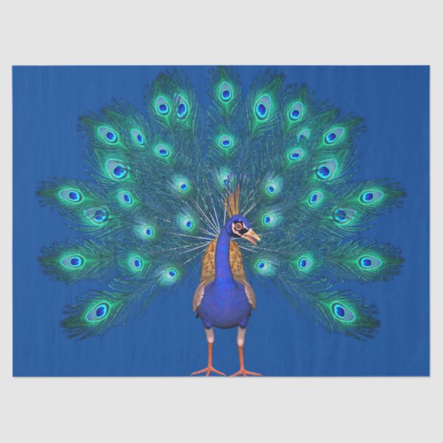 Seda Papel de Tecido Peacock (Frente )