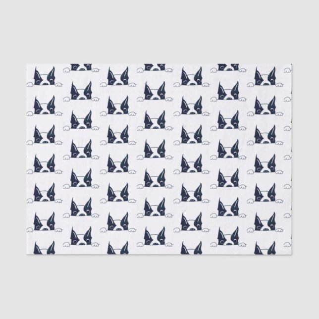 Seda Papel de Tecido Peekaboo (Frente )