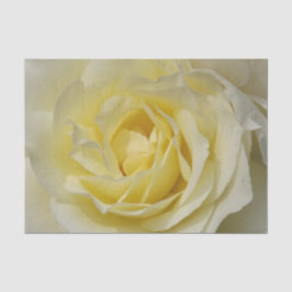 Seda Papel de tecido rosa amarelo pálido