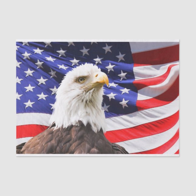 Seda papel de tecidos da independência americana (Frente )