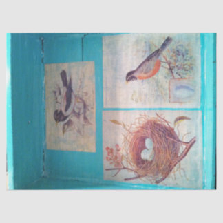 SEDA PAPEL DE TECIDOS DE AVES 18 LB