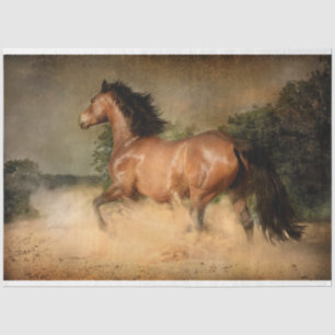 Seda papel de tecidos de cavalos selvagens