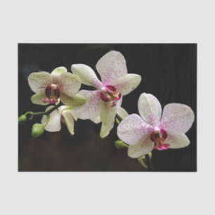 Seda papel de tecidos de flores tropicais