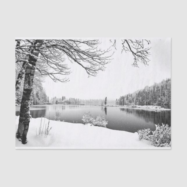 Seda papel de tecidos de inverno (Frente )