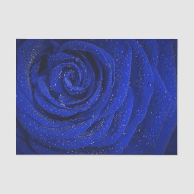 Seda Papel de tecidos de rosa azul Elegante (Frente )