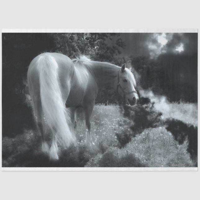 Seda Papel de tecidos noturnos místicos (Frente )