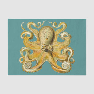 Seda papel de tecidos octopus