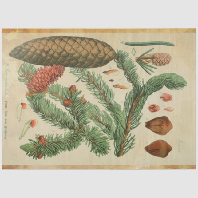 Seda Papel Decoupage do Pinho de Natal (Frente )