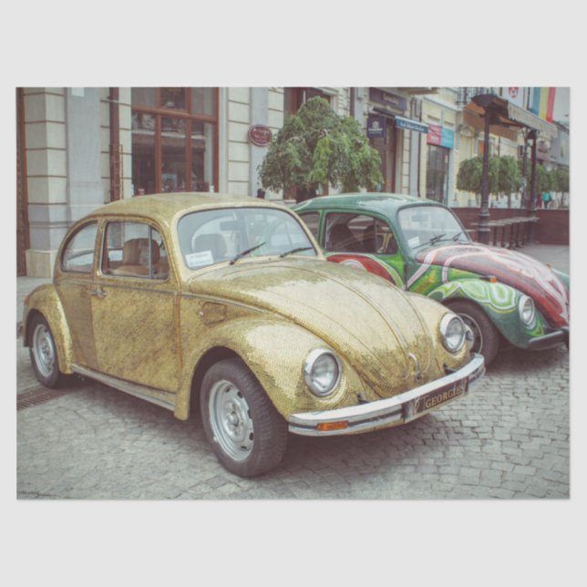 Seda papel para tecidos de insetos (Frente )