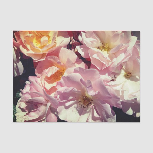 Seda Papel para tecidos na Rosa de Verão (Frente )
