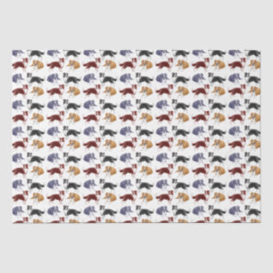 Seda Papel Tecido Collie Dogs de Borda Amigável