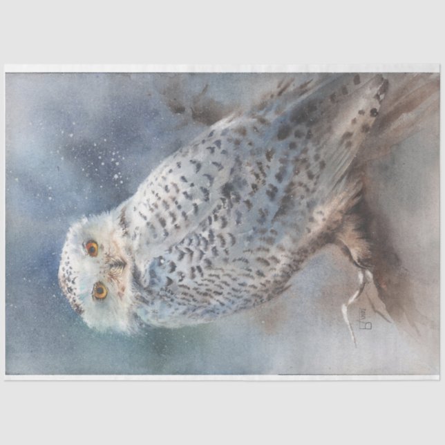 Seda Papel Tecido da Coruja de inverno (Frente )