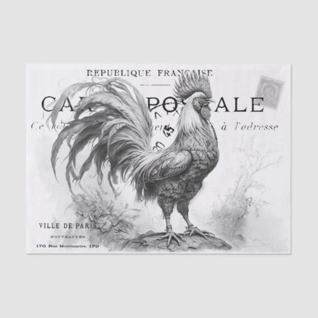 Seda Papel Tecido de Arranque de Galinha (Frente )