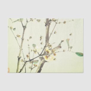 Seda Papel Tecido de BLOSSOM de CÉREBRO JAPONÊS