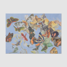 Seda Papel Tecido de BORRACHA