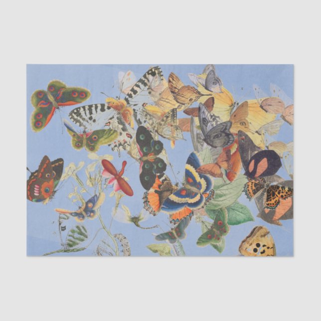 Seda Papel Tecido de BORRACHA (Frente )