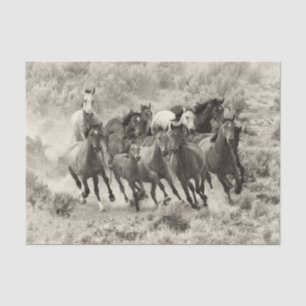 Seda Papel Tecido de Cavalos Selvagens Vintage