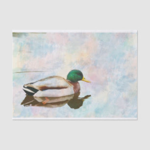 Seda Papel Tecido de Cor de Água do Pato-de-Mallard