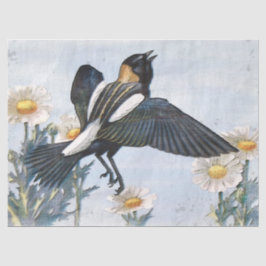Seda Papel Tecido de Decoupage de Pássaros Bobolink