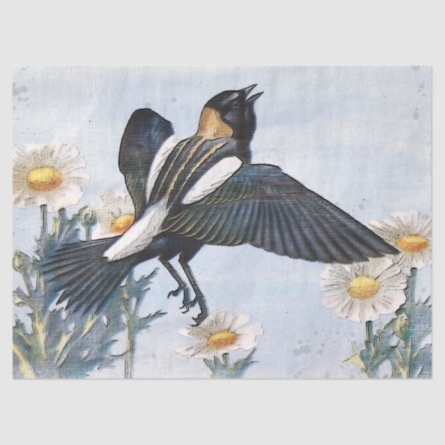 Seda Papel Tecido de Decoupage de Pássaros Bobolink (Frente )