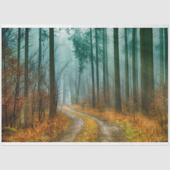 Seda Papel Tecido de Decoupage do Caminho da Floresta o (Frente )