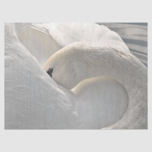 Seda Papel Tecido de Decoupage do Swan Artístico (Frente )