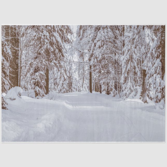 Seda Papel Tecido de Decoupage no inverno da Floresta 1 (Frente )