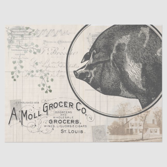 Seda Papel Tecido de Desenho de Suíno de Fábrica (Frente )