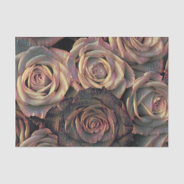 Seda Papel tecidos marrom, laranja, rosa de ouro (Frente )