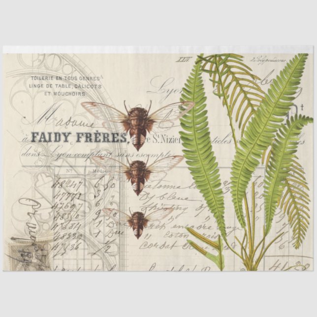 Seda Papel Tecidual de Decoupage de Fern Moth (Frente )