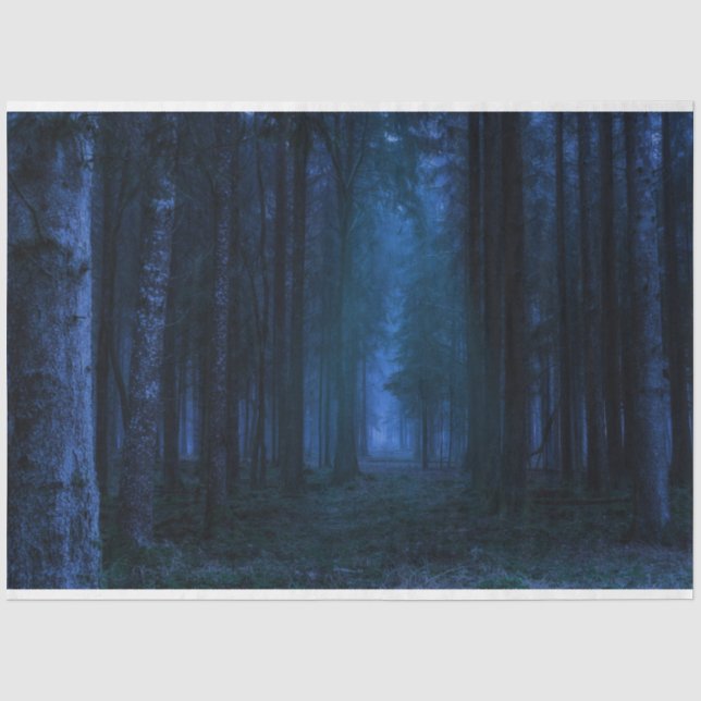 Seda Papel Tecidual de Descaptação de Floresta da Meia- (Frente )