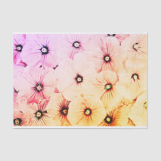 Seda Papel tecidular de 10 lb, papel colorido de aço de