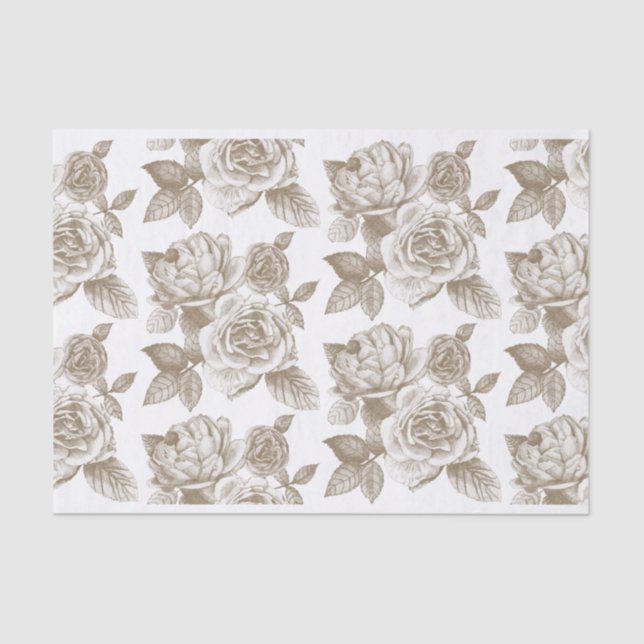 Seda Papel tecidular de desenho rosa na Sepia (Frente )