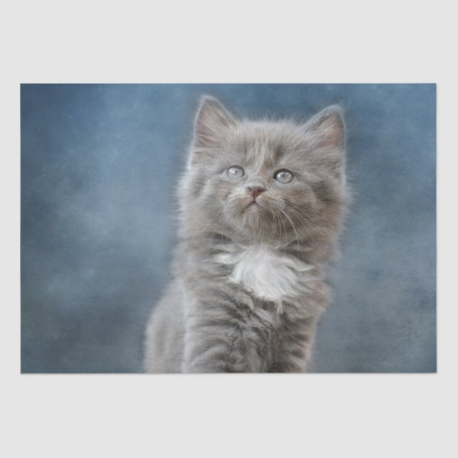 Seda papel tecidular de gato tempestuoso (Frente )