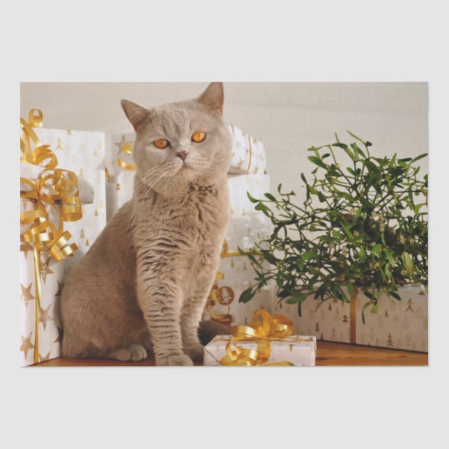 Seda papel tecidular de natal (Frente )