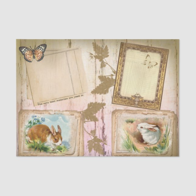 Seda Papel tecidular para coelhos de parada (Frente )