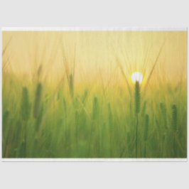 Seda Papel Teclado de Decoupage de Fazenda de Campo da 