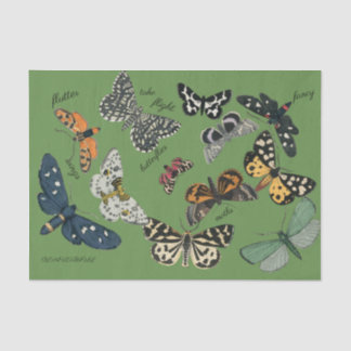 Seda papel tissue verde borboleta de 18 lb