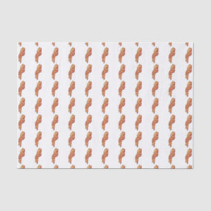 Seda Papel Toalha de Bacon