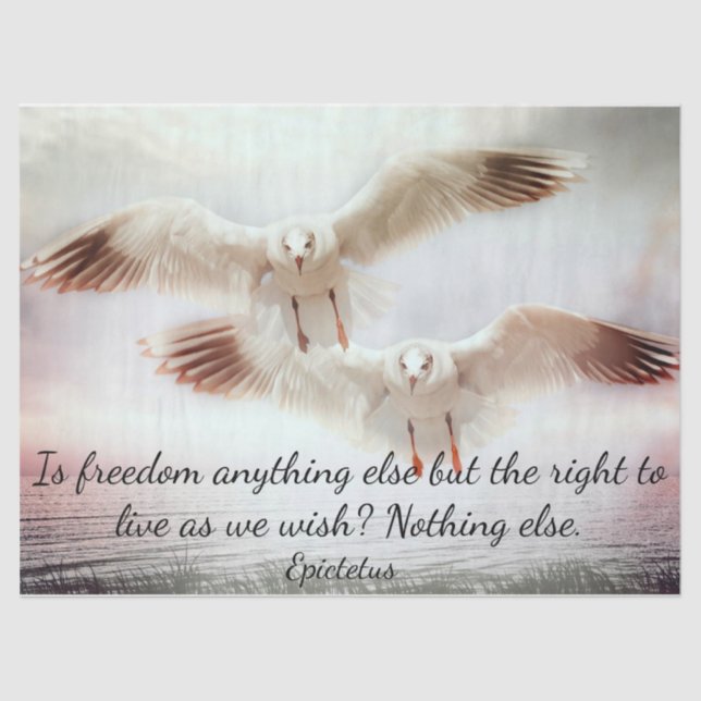 Seda Pássaros em Papel Tecido de Voo (Frente )