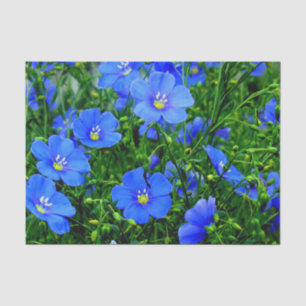Seda Patch do PAPEL WRAP Flor de Linum Azul-Linho-TECID
