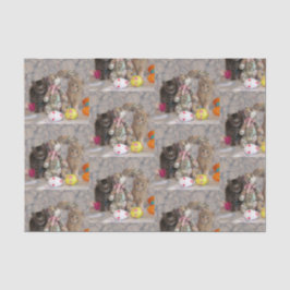 Seda Patton e Buffing - Papel Tecido de Gato