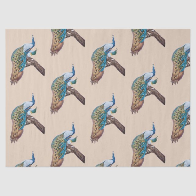 Seda Peacock Series Design 9 Papel de Tecido Castanho (Frente )