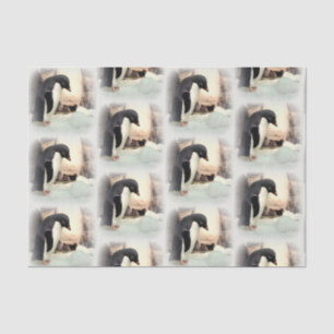 Seda Pinguim Snowball - Papel Tecido de Luta